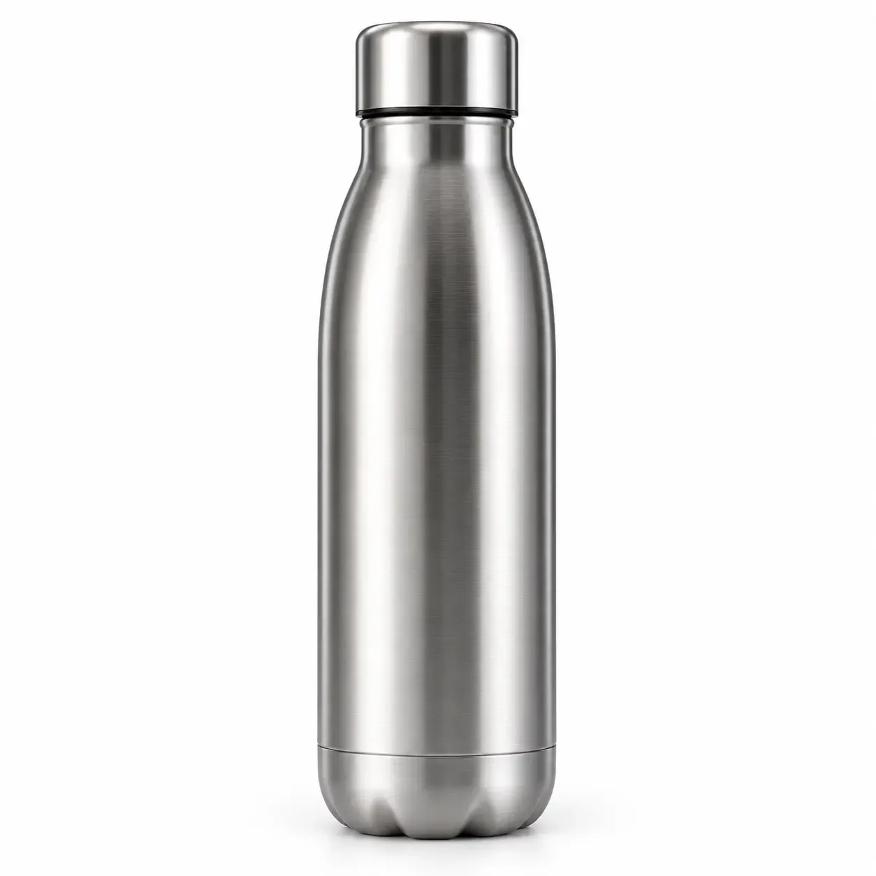 Stainless Steel Insulated Water Bottle