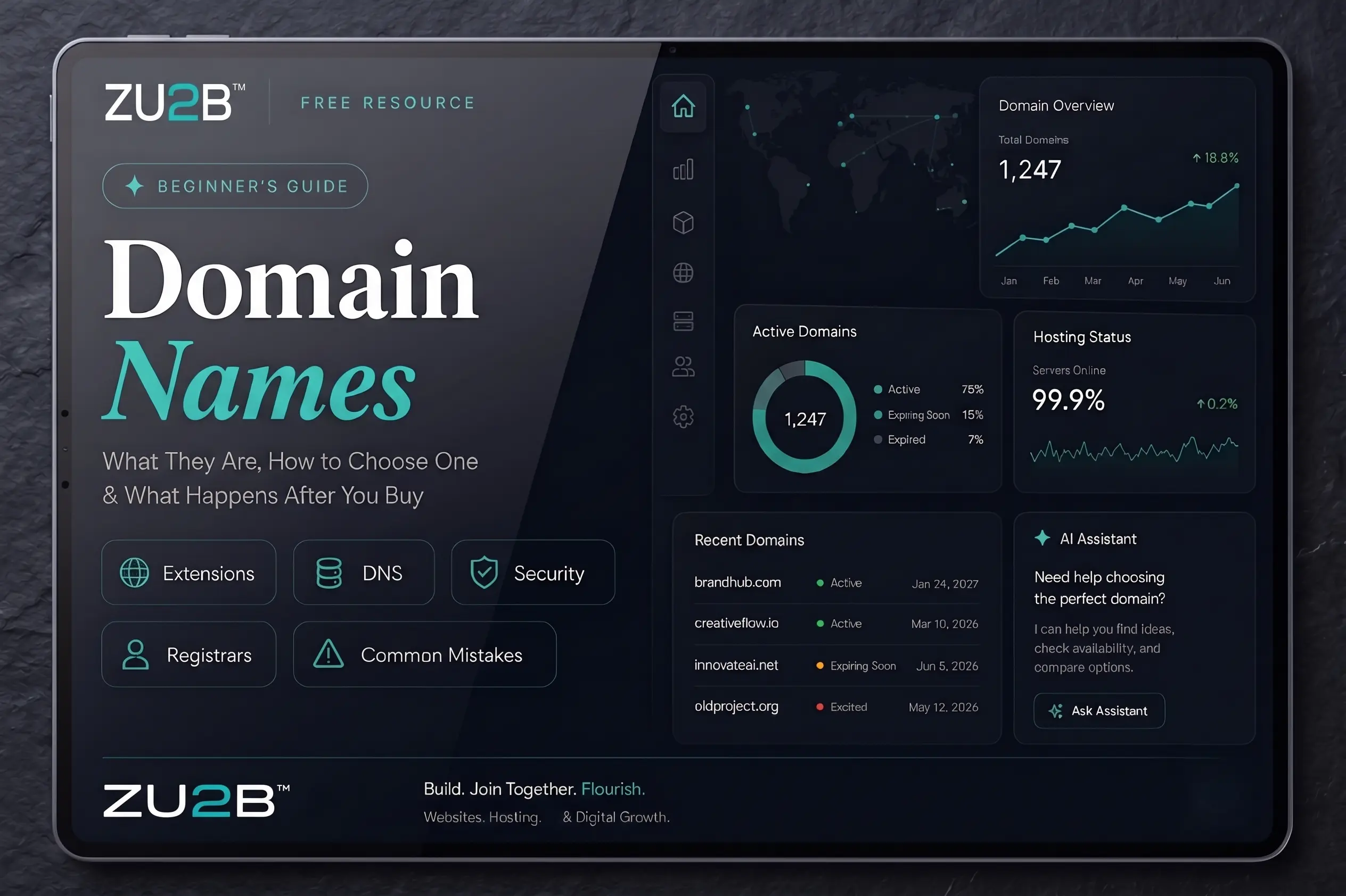 Domain Names — Beginner's Guide by ZU2B preview
